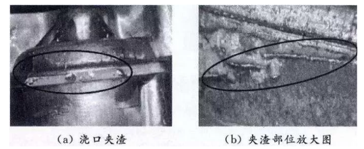 &#66;&#20307;&#32946;&#30452;&#25773;